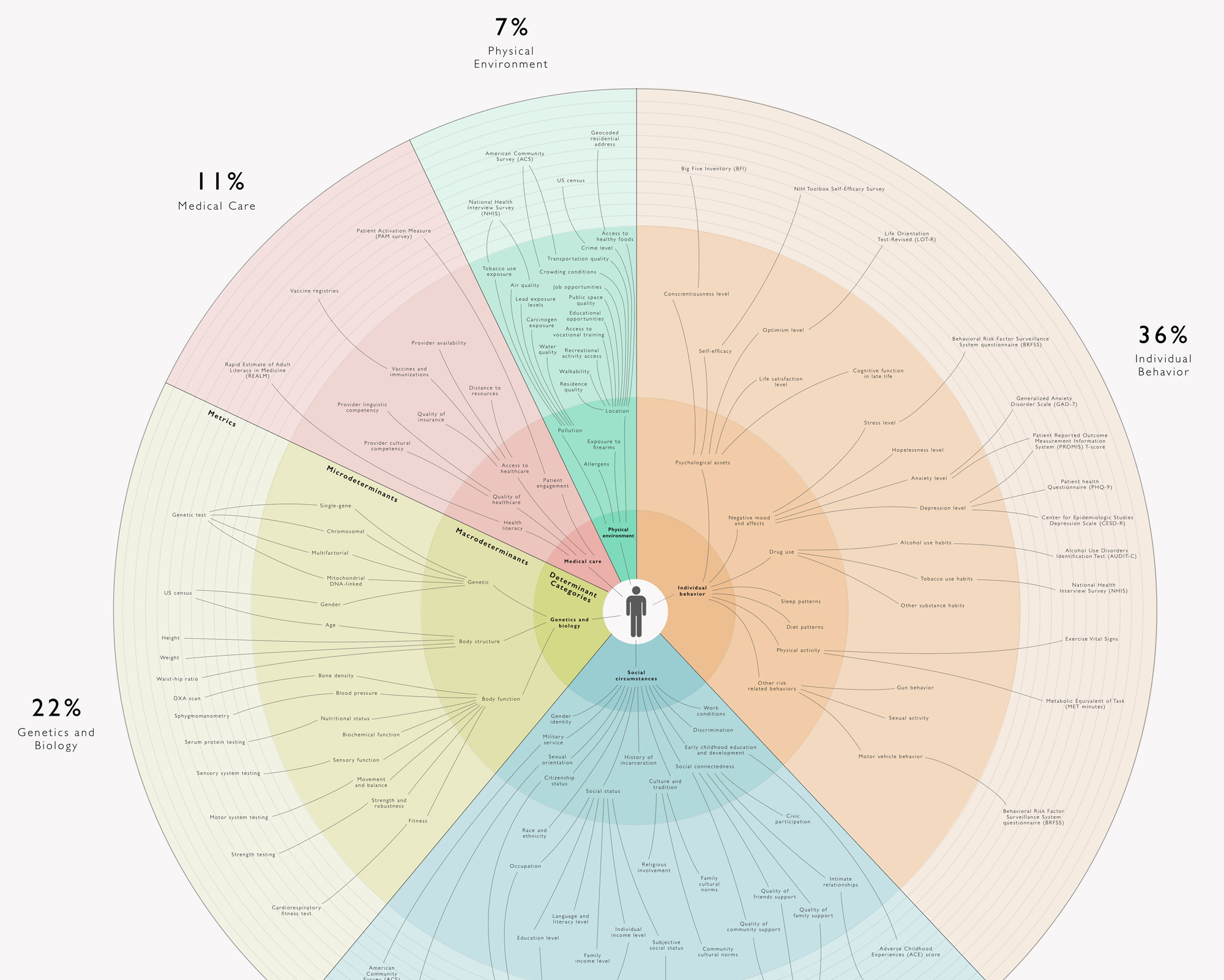 Social Determinants Of Health Chart